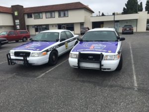Security Patrol Cars in Salinas